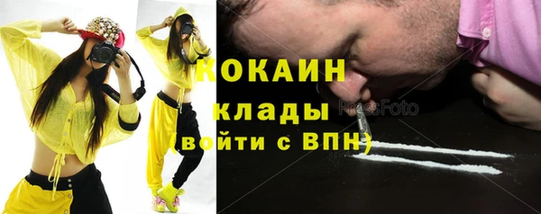 твердый Арсеньев