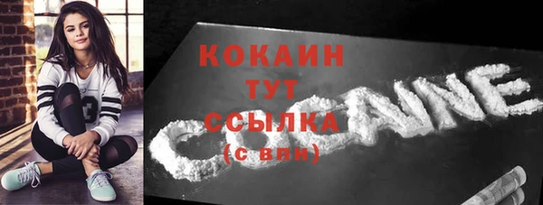 твердый Арсеньев