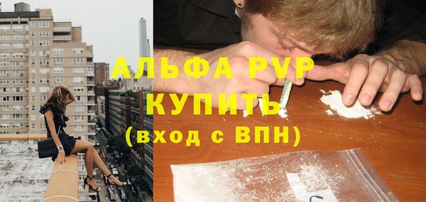 твердый Арсеньев