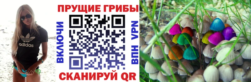 OMG маркетплейс  Усть-Джегута  Псилоцибиновые грибы Magic Shrooms 
