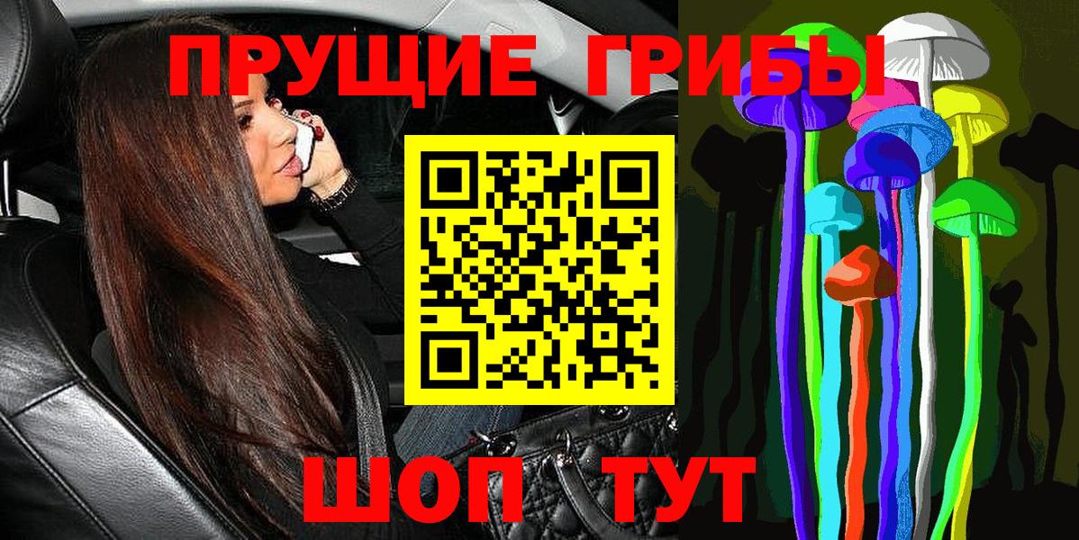 Усть-Джегута  Псилоцибиновые грибы прущие грибы  закладка  Вход с VPN  Галлюциногенные грибы мухоморы 