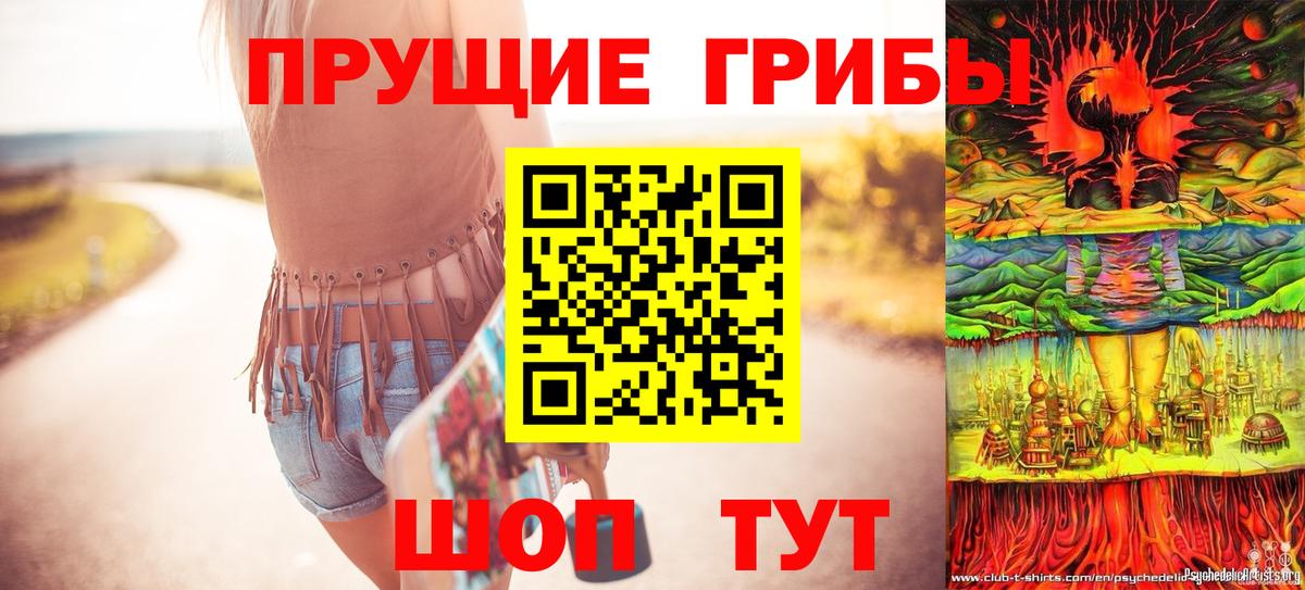 Псилоцибиновые грибы GOLDEN TEACHER Усть-Джегута