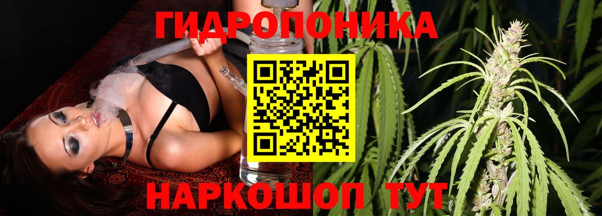 Усть-Джегута  Каннабис SATIVA & INDICA  Вход с VPN  Бошки марихуана тримм  Канабис сатива 
